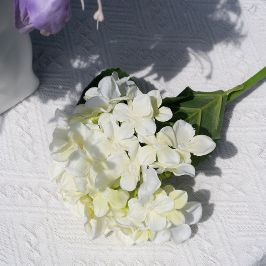 Single White Anna Hydrangea单支安娜绣球-白色